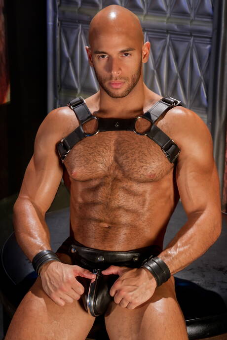 Russian tough guy Valentin Petrov and american superstud Sean Zevran love each other