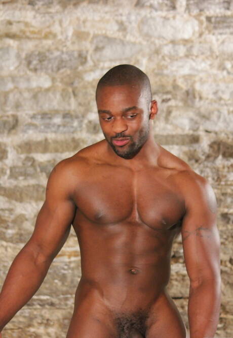 Shameless boys Troy Punk, Derek Reynolds and Sam Swift in hot 3some interracial anal sex