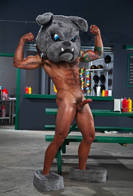 Gay Bears Pics