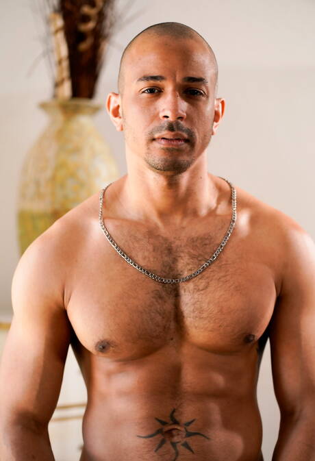 Pretty american guys stud Armond Rizzo and otter Zario Travezz in hot anal sex