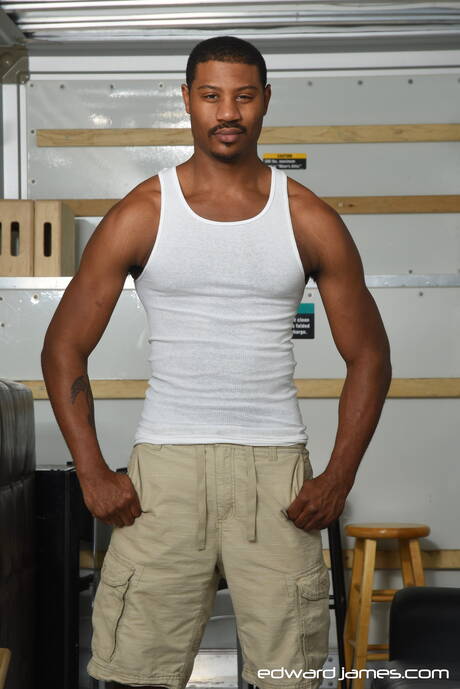 Hot Adonis Couverture, Debonair and Phoenix make a love